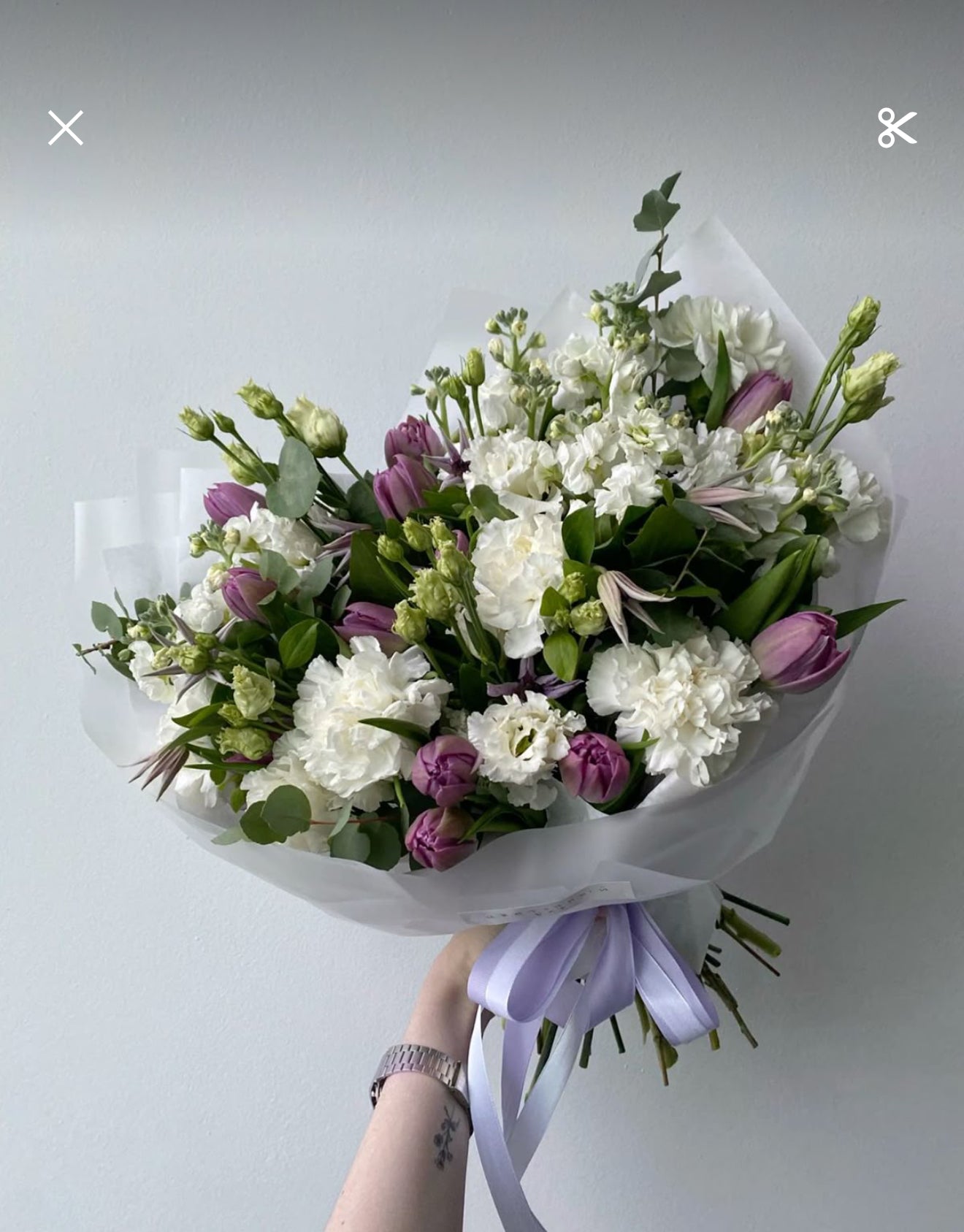 Soft Violet