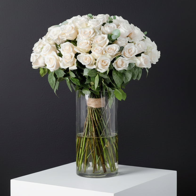 Classic White Elegance