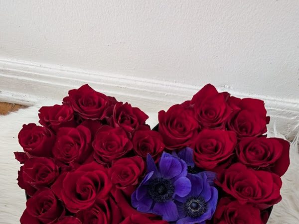 Photo shared by Rami Y with their Google review