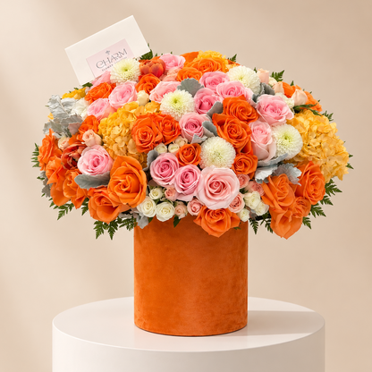 Apricot Blush Luxe