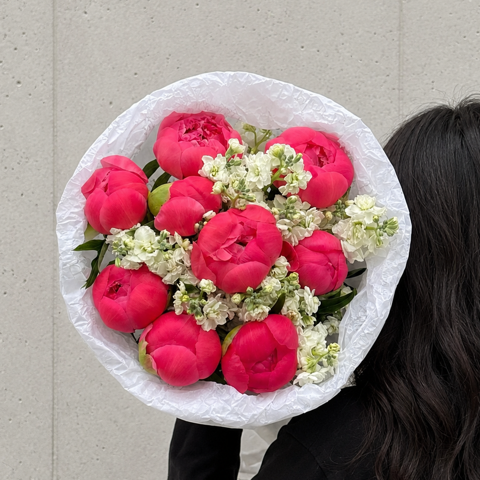 Ruby Peony