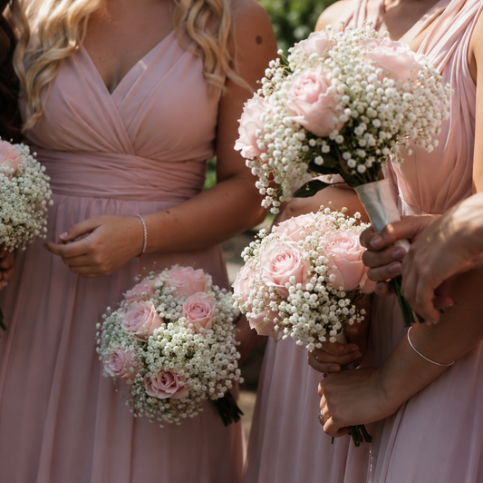 The Amelia Collection