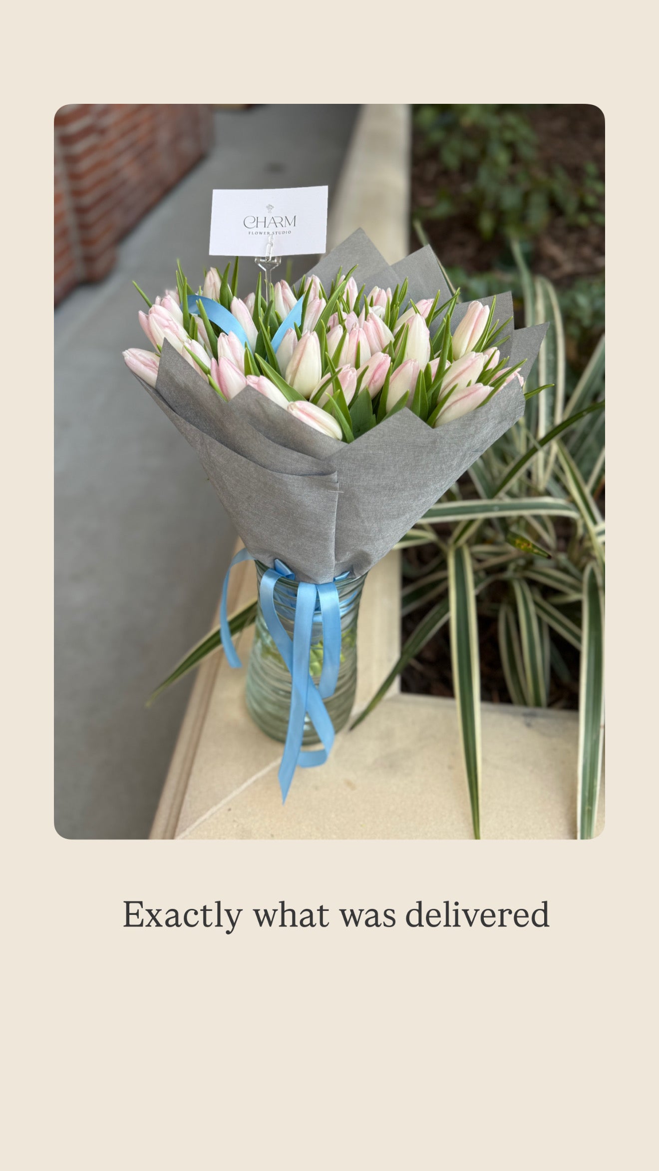 Pretty Tulips