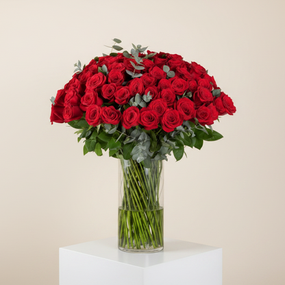 Timeless Red Roses