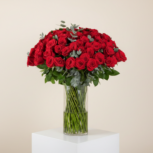Timeless Red Roses