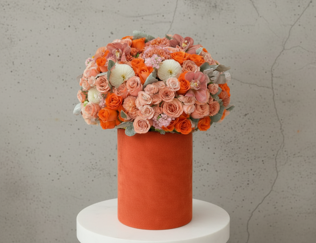 Apricot Blush Luxe