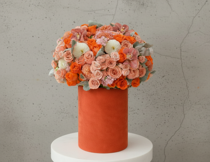Apricot Blush Luxe