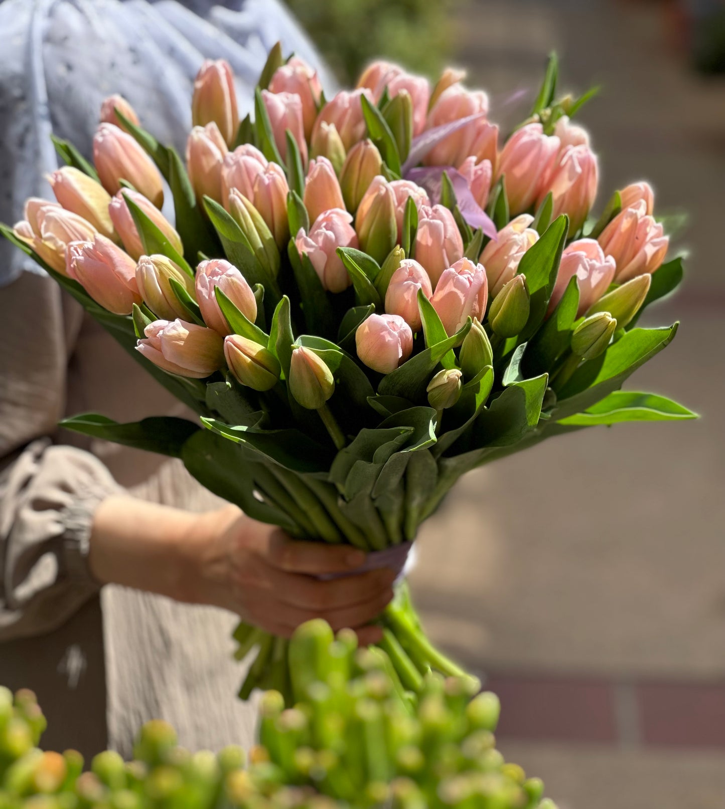 Pretty Tulips