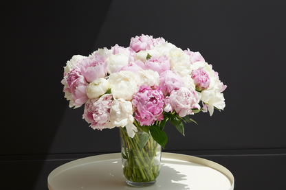 Angellica (50 peonies mixed colors in a Vase)