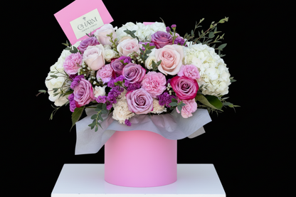 Pink Blossom