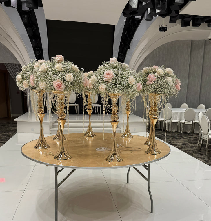 The Amelia Collection
