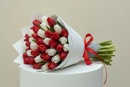 Pretty Tulips